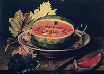 A Slice of Watermelon